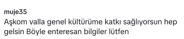 Siz ne düşünüyorsunuz?