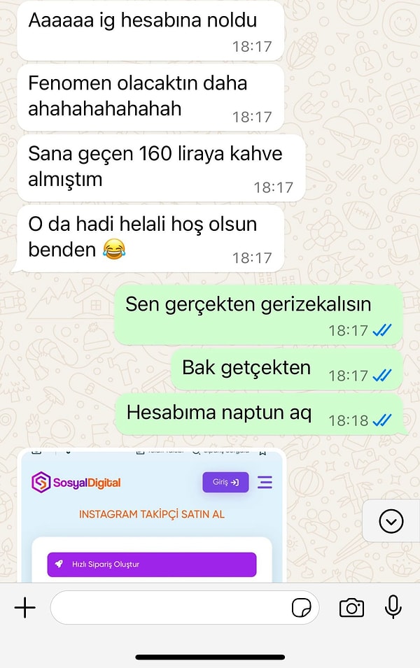 Kullanıcı, eski sevgilisinin kendisine sahte takipçiler göndererek hesabını spamlatmasını bu şekilde paylaştı.