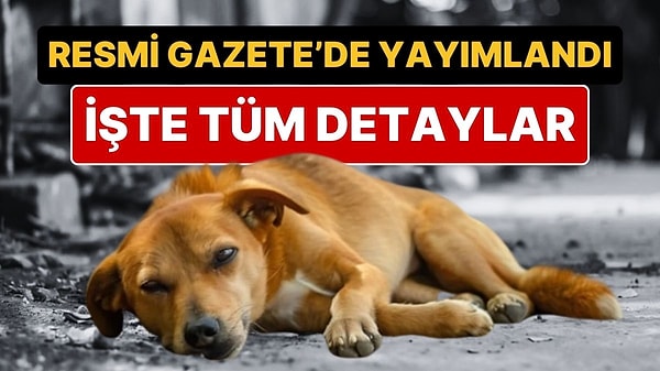 Sahipsiz hayvanlara yönelik düzenlemeler içeren Hayvanları Koruma Kanunu'nda Değişiklik Yapılmasına Dair Kanun, Resmi Gazete'de yayımlandı.