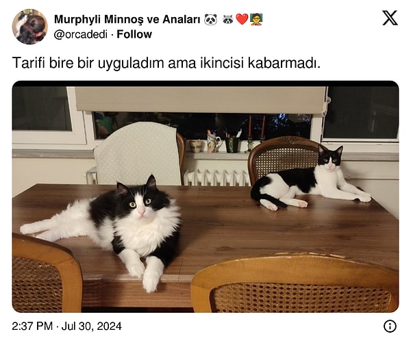 Fırından o fırından.