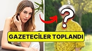 Astrolojik Kız Geliyor! Sinem Kobal'ın Yeni Filmine Birbirinden Ünlü Oyuncular Dahil Oldu