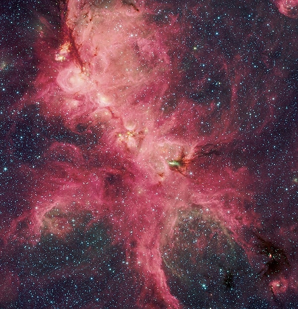 The Cat's Paw Nebula