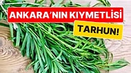 Ankara'nın Kıymetlisi: Tarhun Otu Nedir, Tarhun Otunun Faydaları Neler?