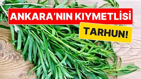 Ankara'nın Kıymetlisi: Tarhun Otu Nedir, Tarhun Otunun Faydaları Neler?