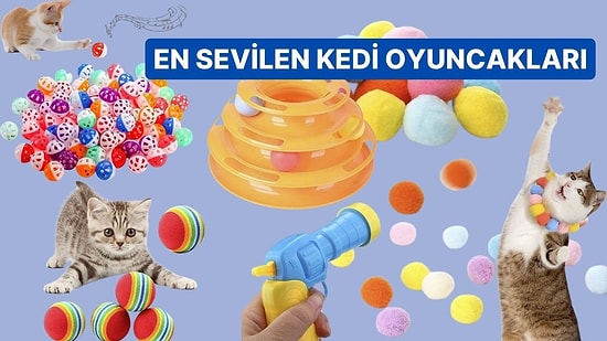 Bunlara Deliriyorlar! Kediler İçin En Çok Satan Toplar