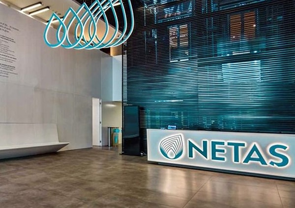 8. Netaş Telekomünikasyon A.Ş. (NETAS)