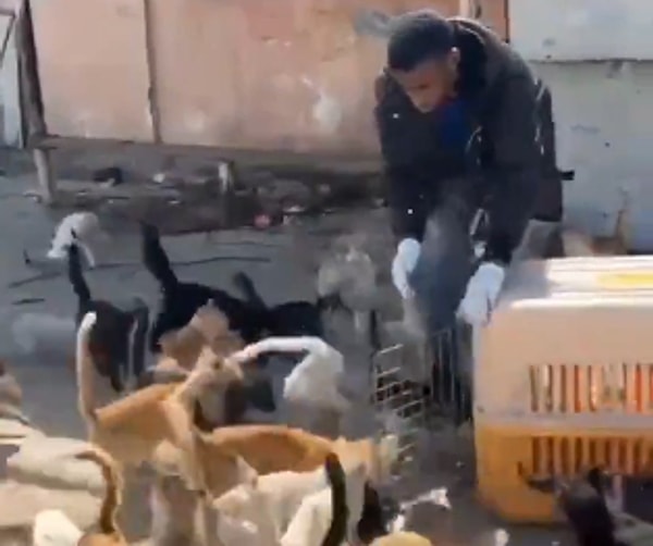 İsrail'in, Filistin'deki bazı yerleşim alanlarını işgal altına almasının ardından bölgede yaşayan insanlar arasında korku ve endişe hakim olmaya devam etti.