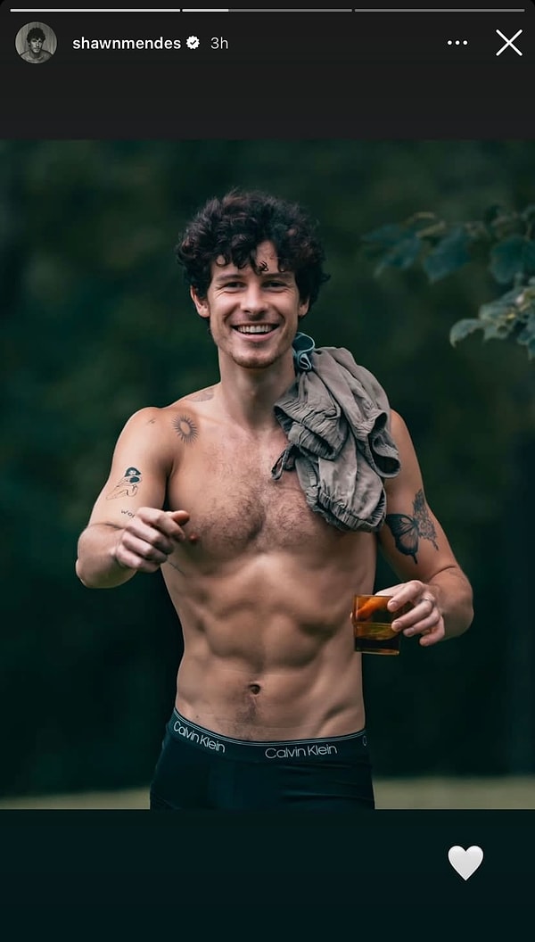 Shawn Mendes üstsüz fotoğrafını paylaştı.