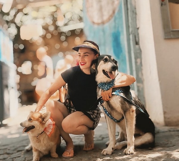 Altınoluk'ta öldürülen köpeklere bir tepki de bu zamanda kadar sokak hayvanları yasasına birçok tepki gösteren Ceylan Ertem'den geldi. Ertem, sokak hayvanları yasasına evet diyen herkese bu yaşananları hatırlatarak 'katilsiniz' çıkışında bulundu.