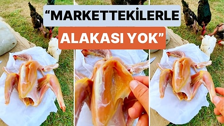 Bir Tavuk Üreticisi Kendi Yetiştirdiği Tavuklardan Birini Paylaştı: "Marketteki Tavuklarla Hiç Alakası Yok!"