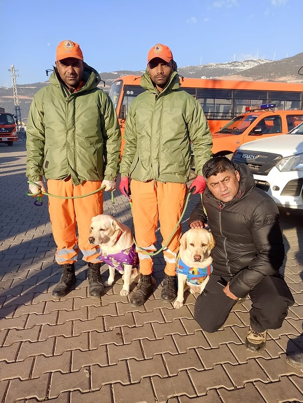 Hindistan Ulusal Afet Müdahale Gücü (NDRF) Gaziantep'te Romeo ve Julie adlı iki köpeğin yardımıyla 9 Şubat tarihinde 6 yaşındaki minik Beren'in enkazdan sağ kurtulmasını sağlamıştı.