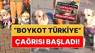 Köpek Katliamından Sonra 'Boykot Türkiye' Çağrıları Başladı: "Türkiye'ye Seyahat Etmeyin!"