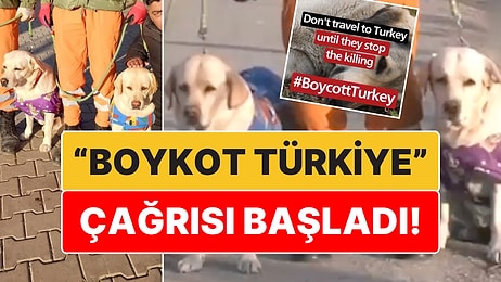 Köpek Katliamından Sonra 'Boykot Türkiye' Çağrıları Başladı: "Türkiye'ye Seyahat Etmeyin!"