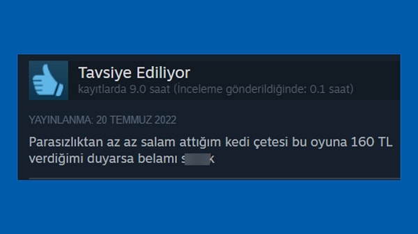 Öyle demeyelim de onları daha iyi anlamak için online kurs aldık diyelim.