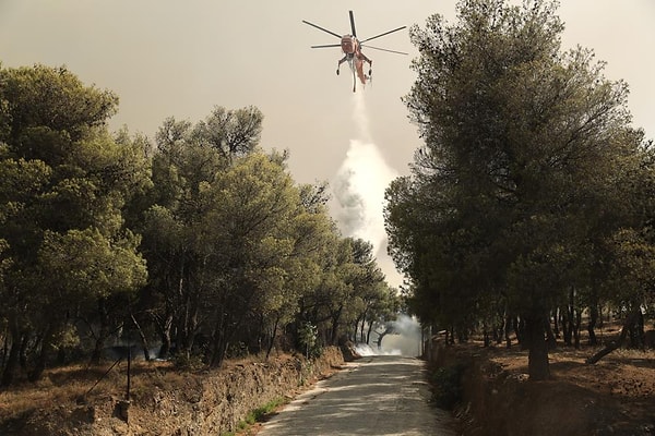 Meteoroloji uzmanları ve hükümet yetkilileri, perşembe gününe kadar hava koşulları nedeniyle vatandaşları artan orman yangınları konusunda uyarmış, İklim Krizi ve Sivil Koruma Bakanı Vassilis Kikilias da ülkenin yarısının "kırmızı alarm" altında olacağını belirtmişti.