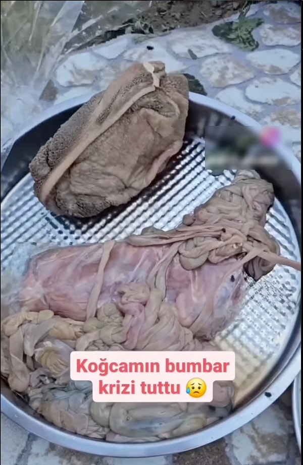 9. Mumbarı, şırdanı hiçbirini temizlemeden buzluğa atmış, yeni çıkarıyor. Ay ben fena oldum galiba!