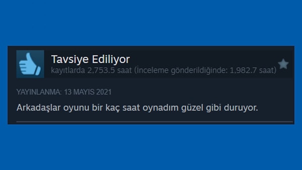 İncelemeyi yazdıktan sonra neredeyse bir o kadar daha oynamış olması...