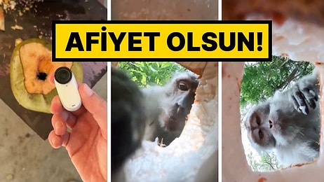 Meyvesine Kamera Yerleştirilen Maymunun Ziyafet Çektiği Anlar Tebessüm Ettirdi