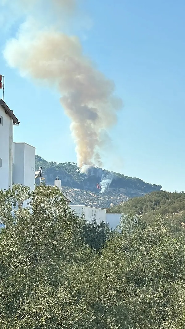 Vali Toraman, "Orman yangınına 8 uçak, 12 helikopter ile havadan, 51 arazöz ve 780 personel ile karadan müdahale edilmektedir" ifadelerini kullandı.