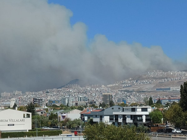 Yangın sebebiyle İzmir kent merkezi dahil bir çok yeri duman kapladı.