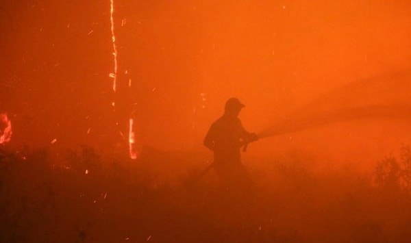 Manisa'nın Gördes ilçesi Boyalı Mahallesi yakınlarındaki ormanda, 14 Ağustos saat 14.30 sıralarında yangın çıktı. İhbar üzerine bölgeye, İzmir Orman Bölge Müdürlüğü'ne ait 2 uçak, 3 helikopter, 8 arazöz, 2 su ikmal aracı, 1 dozer ve 1 yer ekibi sevk edildi. Söndürme çalışmaları sürerken, saat 17.30 sıralarında aynı bölgede başka bir noktada daha orman yangını çıktı.Havanın kararmasıyla yangına dün sabah saatlerine kadar gece görüşlü helikopter ile müdahale devam etti.Boyalı Mahallesi'ndeki yangına müdahale sürerken, bu kez de ilçenin Kayacık ve Kaşıkçı mahallelerinde 17.30 sıralarında iki farklı yangın çıktı.