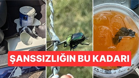 Çöle Düşse Kutup Ayılarıyla Karşılaşıp Birtakım Tatsız Olaylar Yaşayabilecek Bahtsız Kişiler