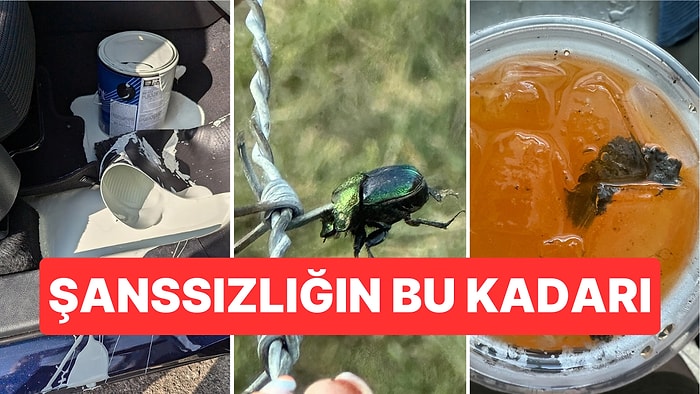 Çöle Düşse Kutup Ayılarıyla Karşılaşıp Birtakım Tatsız Olaylar Yaşayabilecek Bahtsız Kişiler