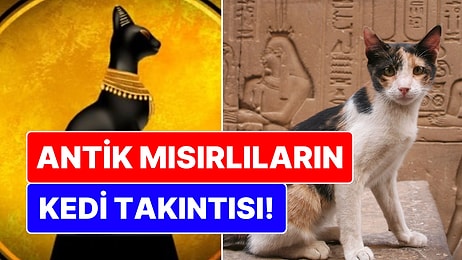 Antik Mısırlıların Kedi Takıntısı: Neden Bu Kadar Çok Seviliyordu?