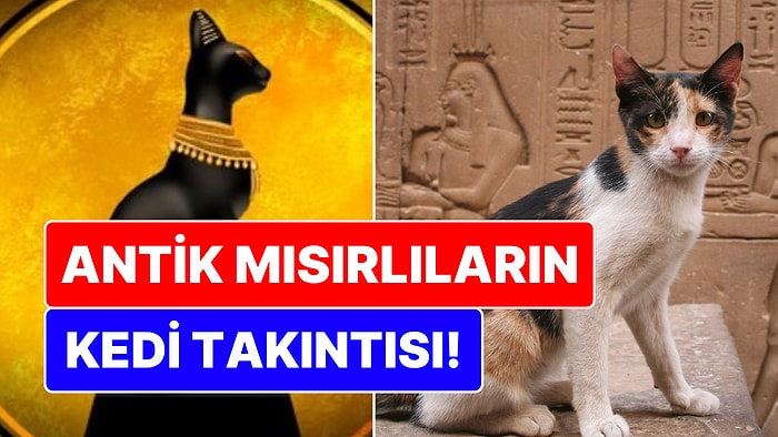 Antik Mısırlıların Kedi Takıntısı: Neden Bu Kadar Çok Seviliyordu?