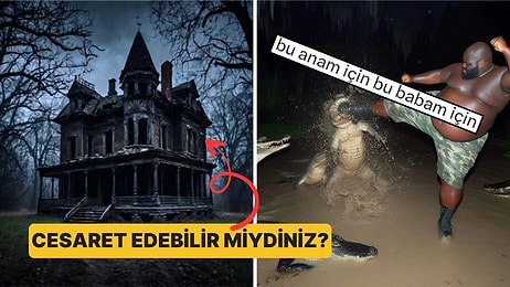 Fotoğraf Çekmek İsterken Yanlışlıkla Rönesans Tablosu Yaratan Kişilerden Muazzam Kareler