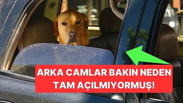 11. Bazı Arabaların Arka Camları Neden Yarım Açılıyor?