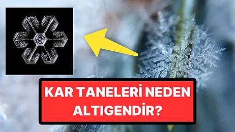 Aslında Bir Sebebi Varmış! Kar Taneleri Neden Altıgen Şeklindedir?