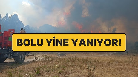 Ankara’daki Orman Yangını Bolu’ya Sıçradı: Yine İnsanlar Yüzünden Çıkmış