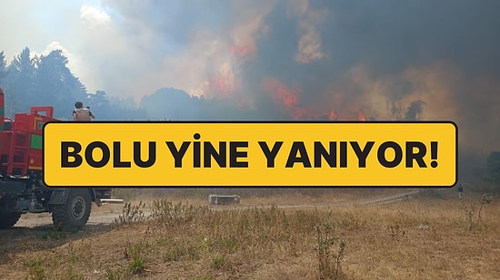Ankara’daki Orman Yangını Bolu’ya Sıçradı: Yine İnsanlar Yüzünden Çıkmış