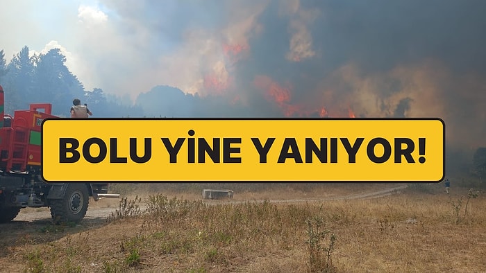 Ankara’daki Orman Yangını Bolu’ya Sıçradı: Yine İnsanlar Yüzünden Çıkmış