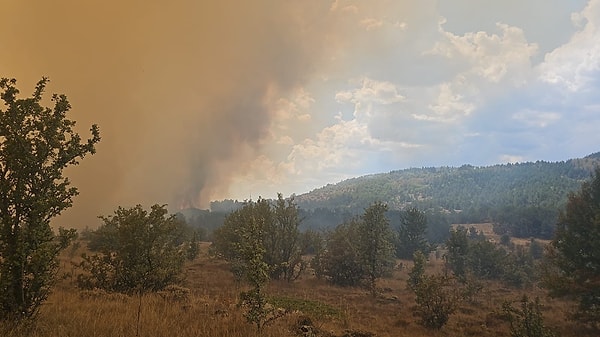 Yangın, Ankara'nın Kızılcahamam ilçesinde Şahinler Mahallesi'nde meydana geldi. Edinilen bilgiye göre, anız yangını olarak başlayan yangın rüzgarın etkisiyle büyüyerek ormanlık alana sıçradı.