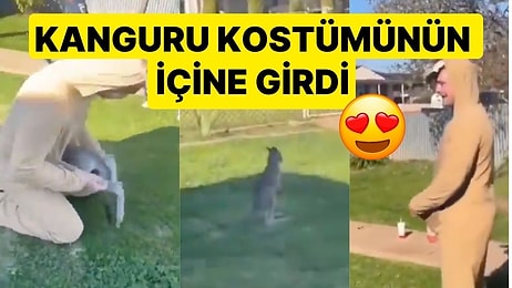 Kostümün İçine Girdi: Bahçeden Çıkmayan Yavru Kanguruyu, Kanguru Kostümüyle Çıkardı