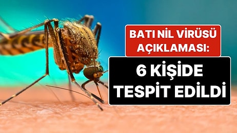 Sağlık Bakanlığı'ndan Batı Nil Virüsü Açıklaması: 6 Kişide Tespit Edildi