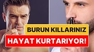 Koparmamak Lazımmış: Burun Kıllarımız Aslında Sağlığımızı Kurtarıyor!
