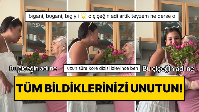 Günün Pozitif Videosu Geldi! Begonvil Çiçeğini Bir Türlü Telaffuz Edemeyen Teyze Gülümsetti