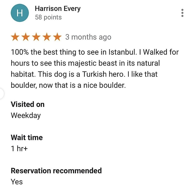 Here are some of The Boulder's reviews👇