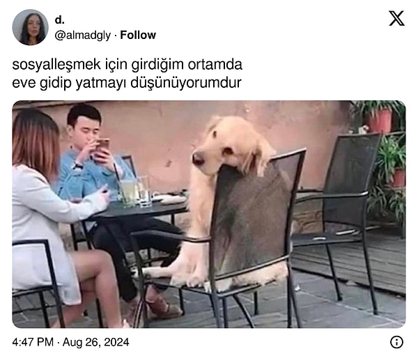 Başlıyoruz!