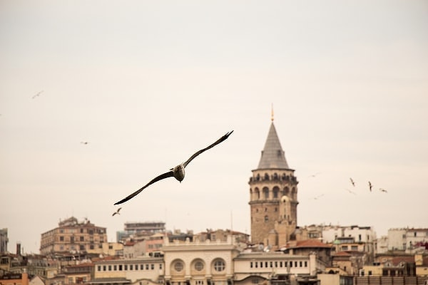 İstanbul'un yıllar önce bile yaşanan şehir merkezlerini, İstanbul'un doğuş noktalarını biliyoruz. Peki ya bitiş noktası? İstanbul'un bittiği bir nokta var mı sahiden?