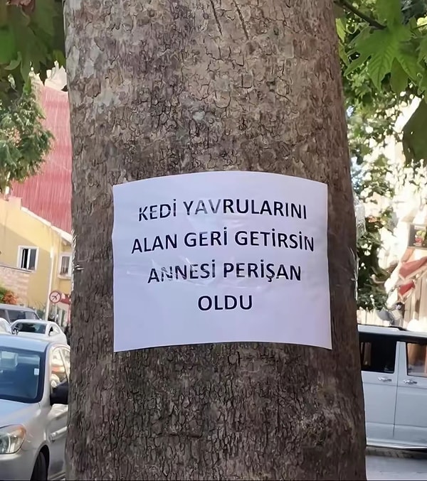 En meşhurlarından birisi bu.