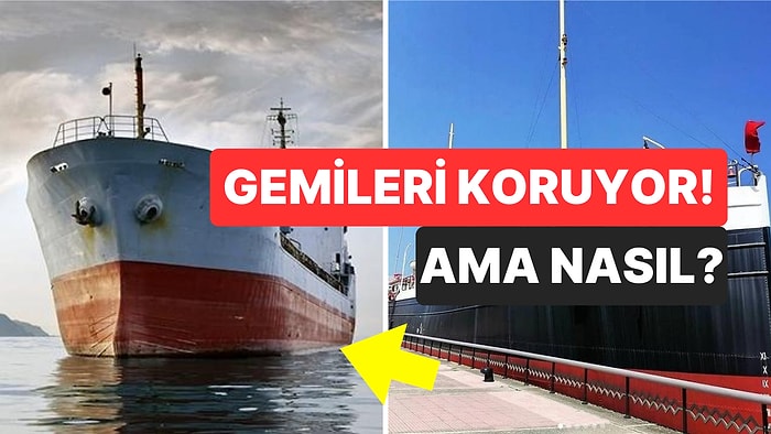 Gelenek Haline Gelmiş! Gemilerin Alt Kısmı Neden Kırmızıya Boyanır?