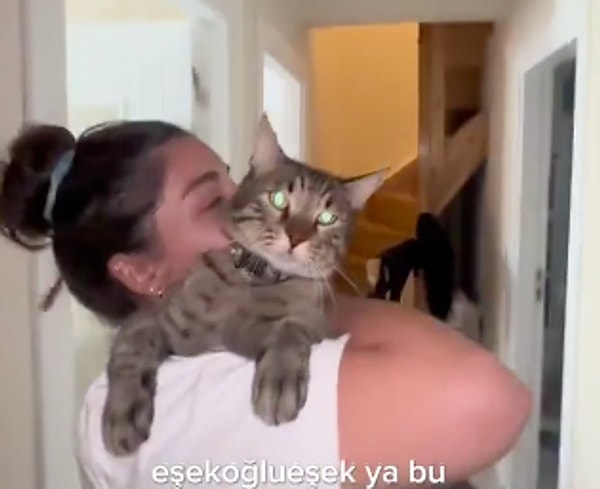 Şaşkın isimli zeki kedi, sahibinin çağrısına kayıtsız kalmayarak kapıyı açmayı başardı. Zıplayarak kapıyı açıp ev sahibinin imdadına yetişen Şaşkın, bu hareketiyle hem sahibini zor bir durumdan kurtardı hem de izleyenlerin kalbini kazandı.