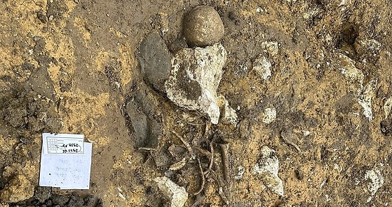 Ancient 'Barbarian' Tomb Unearthed Near Roman Empire's Border