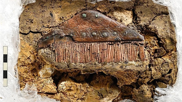 The tomb, discovered during construction work, was carefully built and surrounded by a wooden chamber.