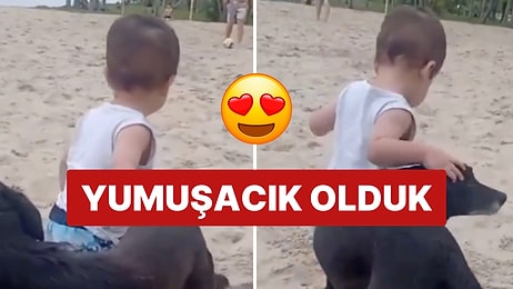 Minik Bebek İlk Adımlarını Attı, Köpek Dostu Onu Yalnız Bırakmadı!