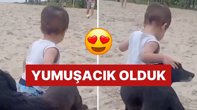 Minik Bebek İlk Adımlarını Attı, Köpek Dostu Onu Yalnız Bırakmadı!